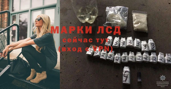spice Аркадак