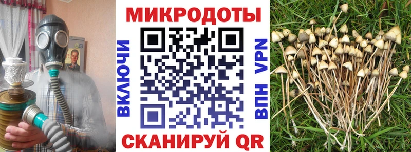 МЕГА маркетплейс  Междуреченск  Галлюциногенные грибы Cubensis  купить  цена 